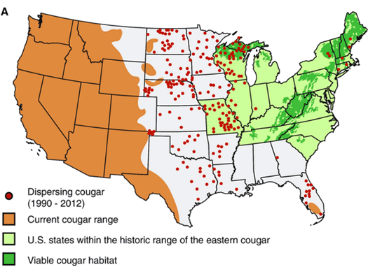 mountain lion range map conservation letters