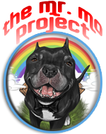 mr mo project logo