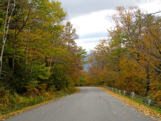 mount equinox fall report