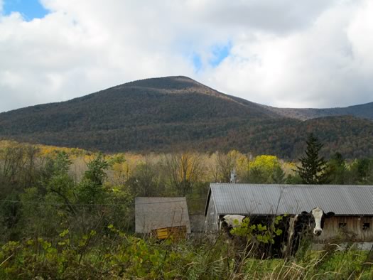 mount equinox fall report