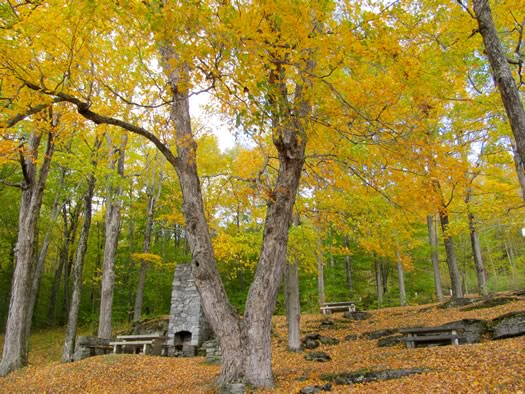 mt_equinox_picnic_area.jpg