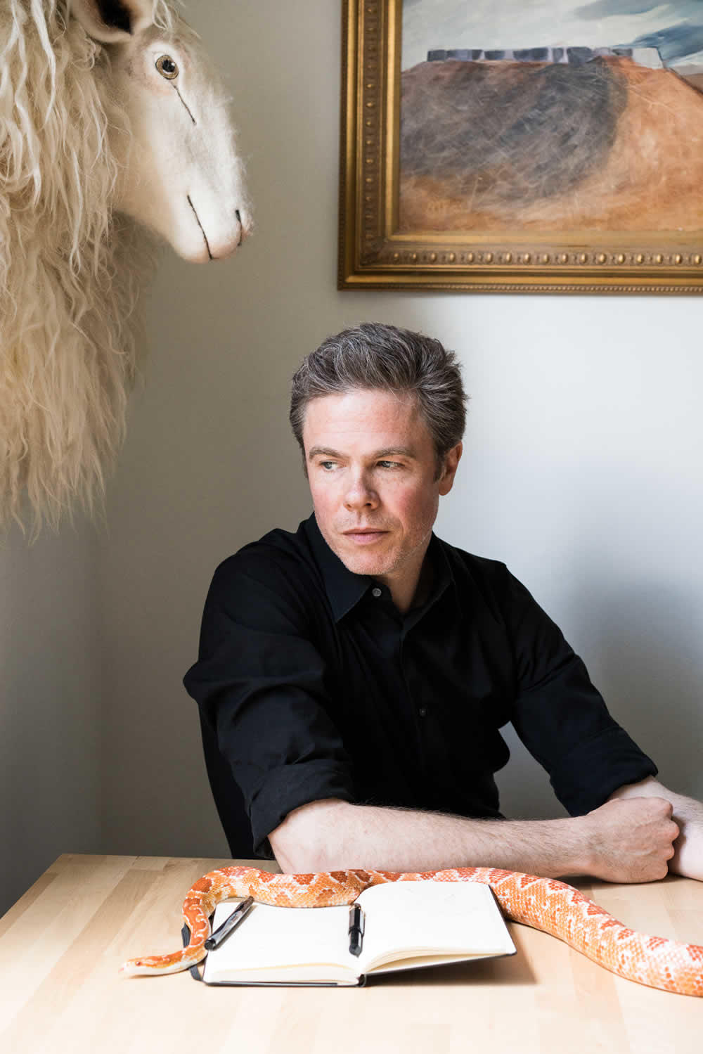 josh ritter full discography