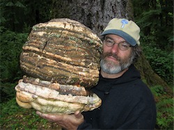 mycologist Paul Stamets