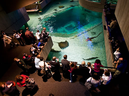 national aquarium baltimore