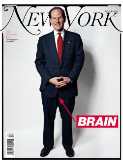 New York mag Spitzer cover