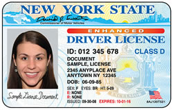 ny drivers license