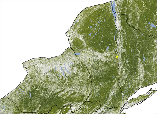 ny tree mass map nasa