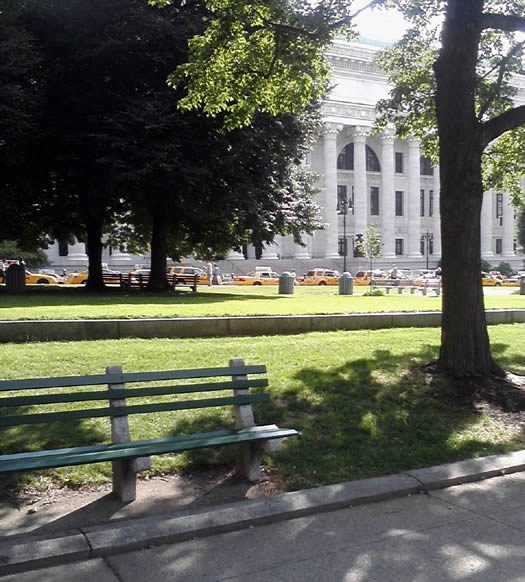 nyc_taxis_capitol_2011-06-21_Summer.jpg