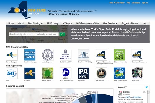 nys data site screengrab