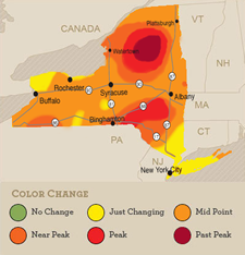 nys foliage map 2013-10-03