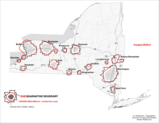 nysdec ash borer map 2015-May