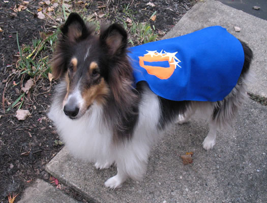 otto superhero cape