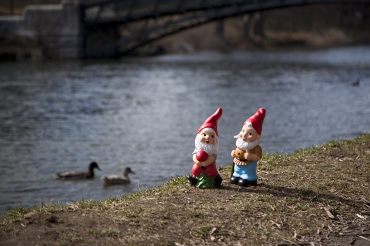 park gnomes