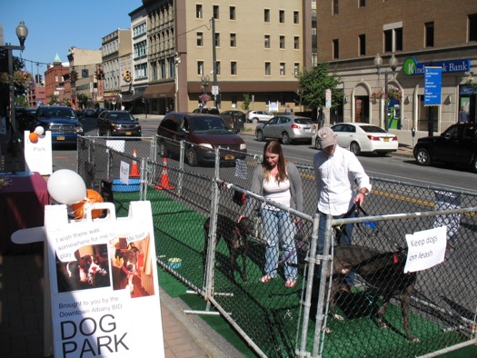 parking day 2014 dog park