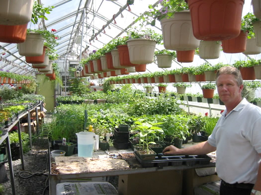 parsons greenhouse