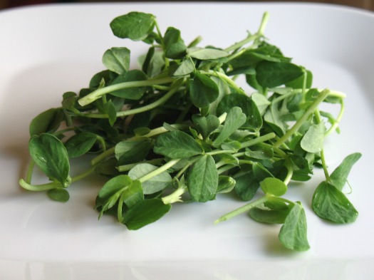 Pea Shoot