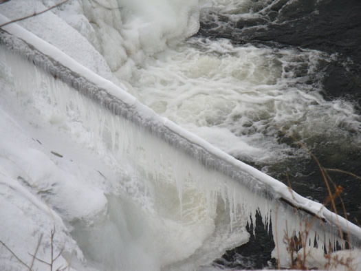 peebles island winter frozen log