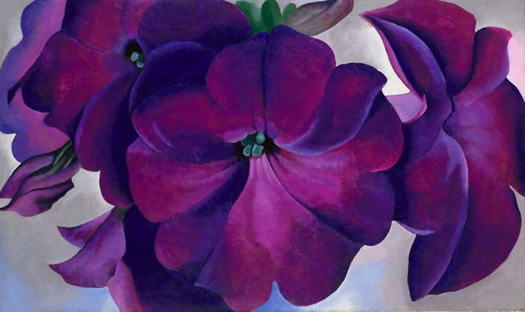 petunias georgia o'keeffe