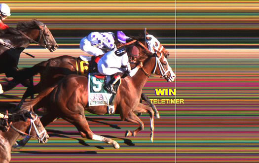 photo finish Travers 2013