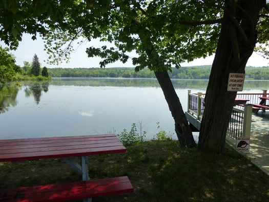 pirates_lakeside_grill_shaded_table.jpg