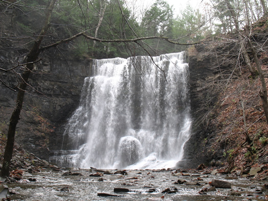 plotterkill falls in autumn