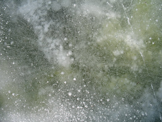 pond ice 1