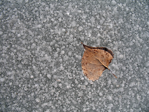 pond ice 8