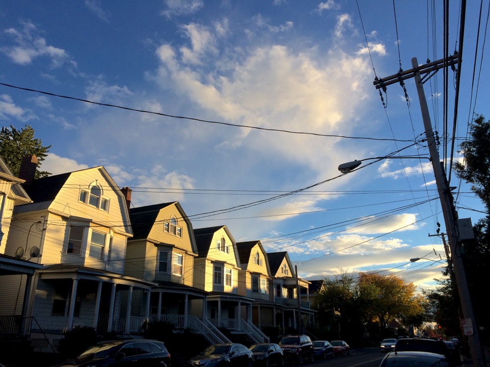 Albany Quail Street houses autumn light