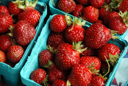 quarts of strawberries