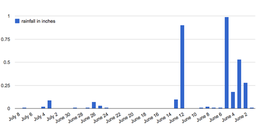 rainfall early summer 2012