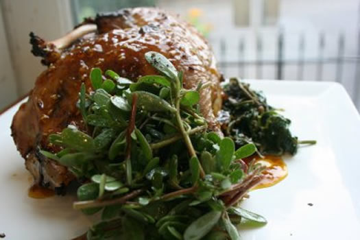 roasted chicken with purslane and lambs quarters