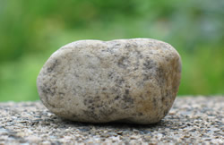 rock closeup