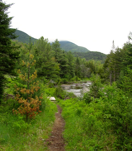 roosevelt mt marcy trail level