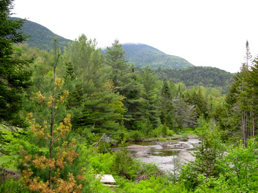 trail Teddry Roosevelt hiked to Mt Marcy