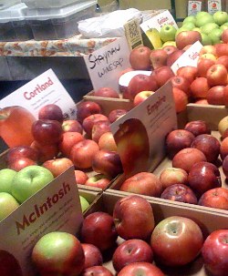 Schenectady Greenmarket apples