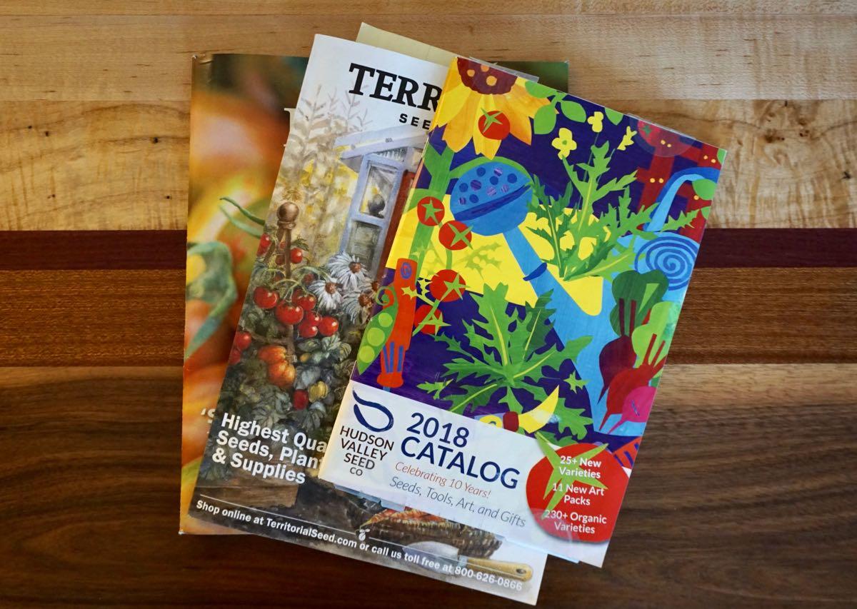 seed catalogs on table