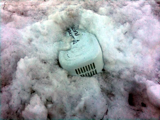 snowbank eating basket