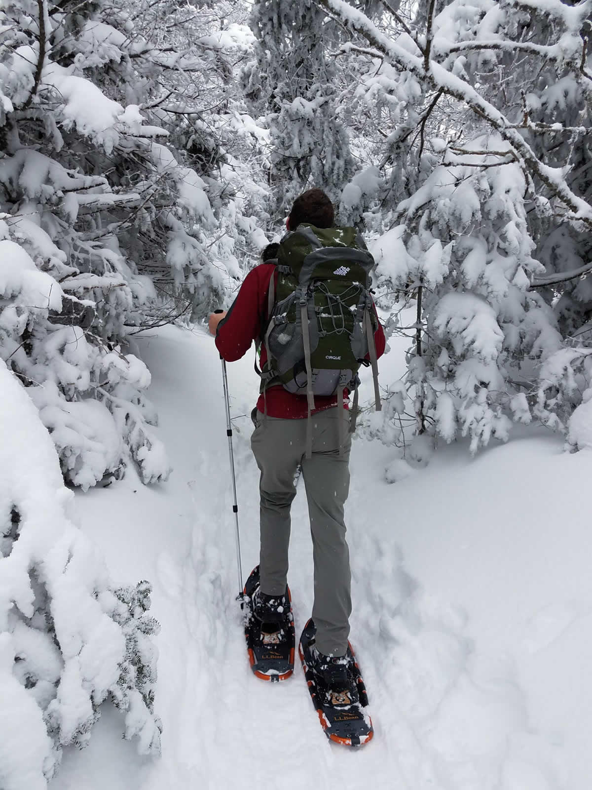 snowshoeing in woods by Cristin Steding