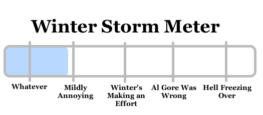 snowy apocalypse meter 2008-12-11