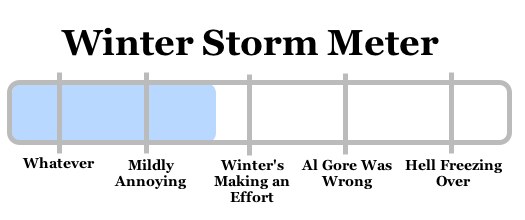 snowy apocalypse meter 2009-01-06