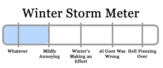 snowy apocalypse meter_2010-02-09