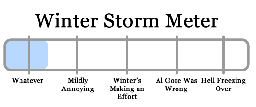 snowy apocalypse meter 2010-02-16