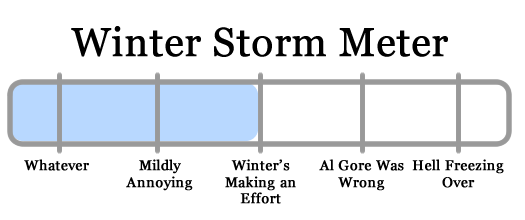 snowy apocalypse meter 2010-02-23