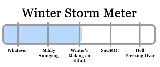 snowy apocalypse meter 2011-01-06