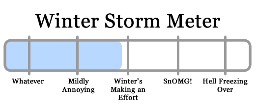 snowy apocalypse meter 2011-01-11