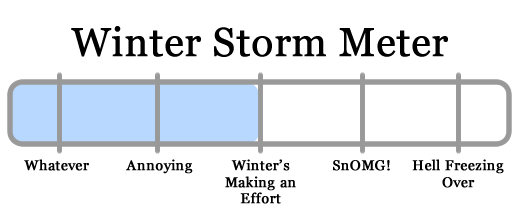 snowy apocalypse meter 2011-01-17