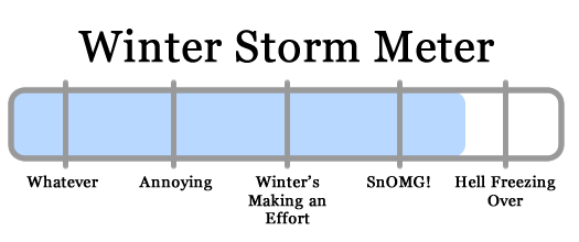 snowy apocalypse meter 2011-01-31