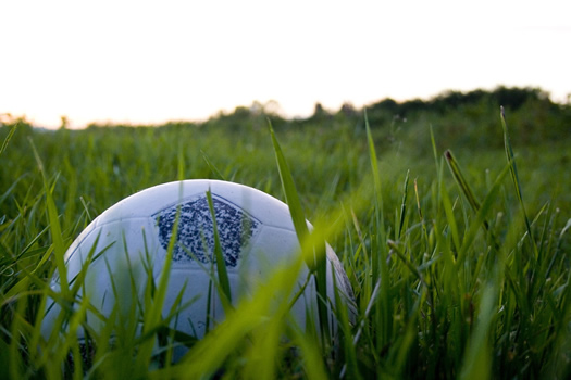 soccer ball grass