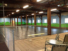 indoor dog park spaw city albany over ballston opened spa called could good