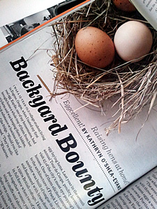 spirit magazine backyard hens article